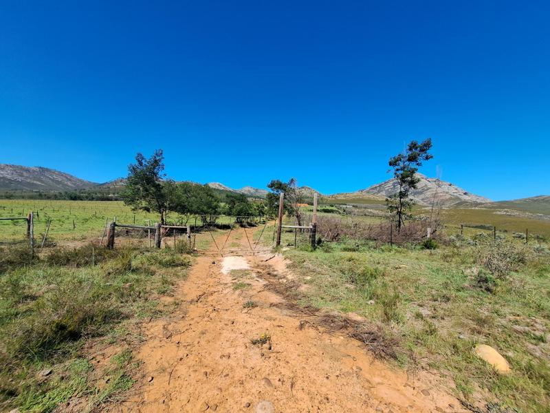 0 Bedroom Property for Sale in Kareedouw Eastern Cape